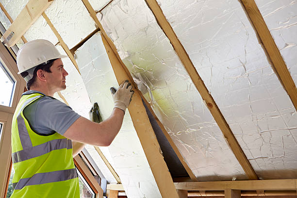 Best Eco-Friendly Insulation in Palmer Ranch, FL