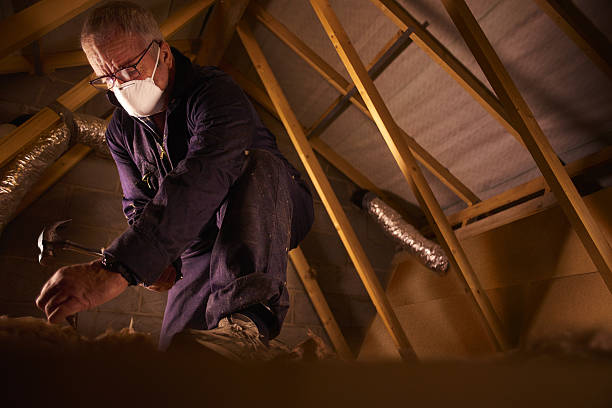 Best Fiberglass Insulation in Palmer Ranch, FL